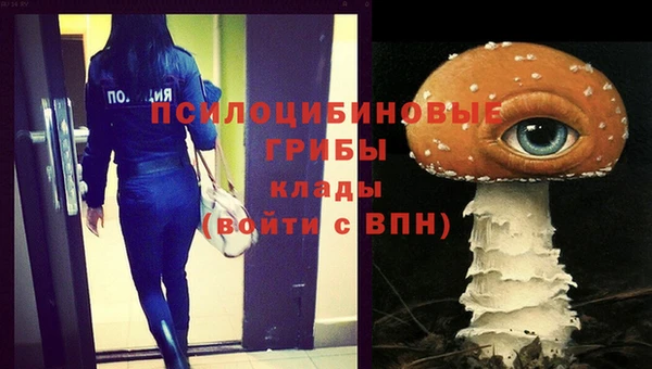 марки nbome Каменногорск
