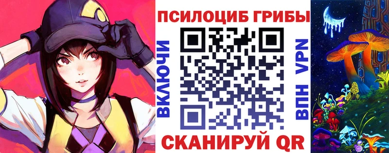 Купить где  Белово  Псилоцибиновые грибы Psilocybine cubensis 